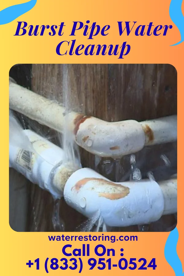 Burst Pipe Water Cleanup in Lewisburg, TN