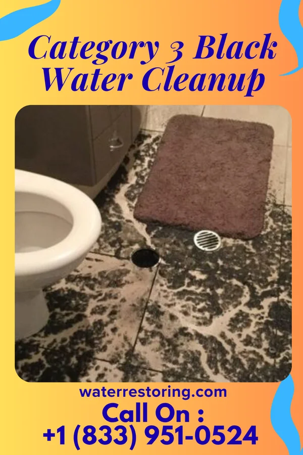 Category 3 Black Water Cleanup in Lewisburg, TN