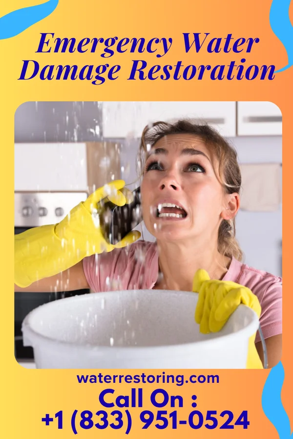 Emergency Water Damage Restoration in Lewisburg, TN