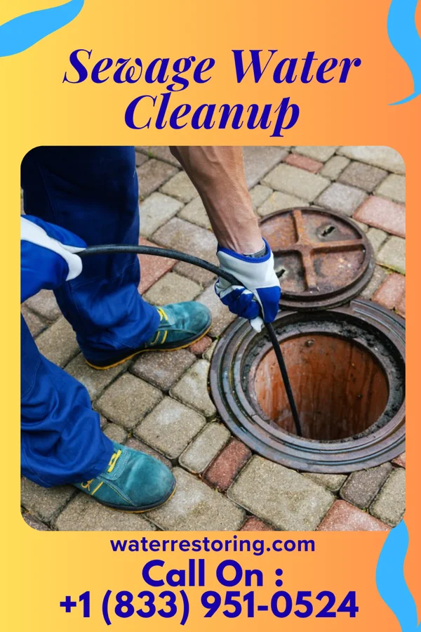 Sewage Water Cleanup in Lewisburg, TN