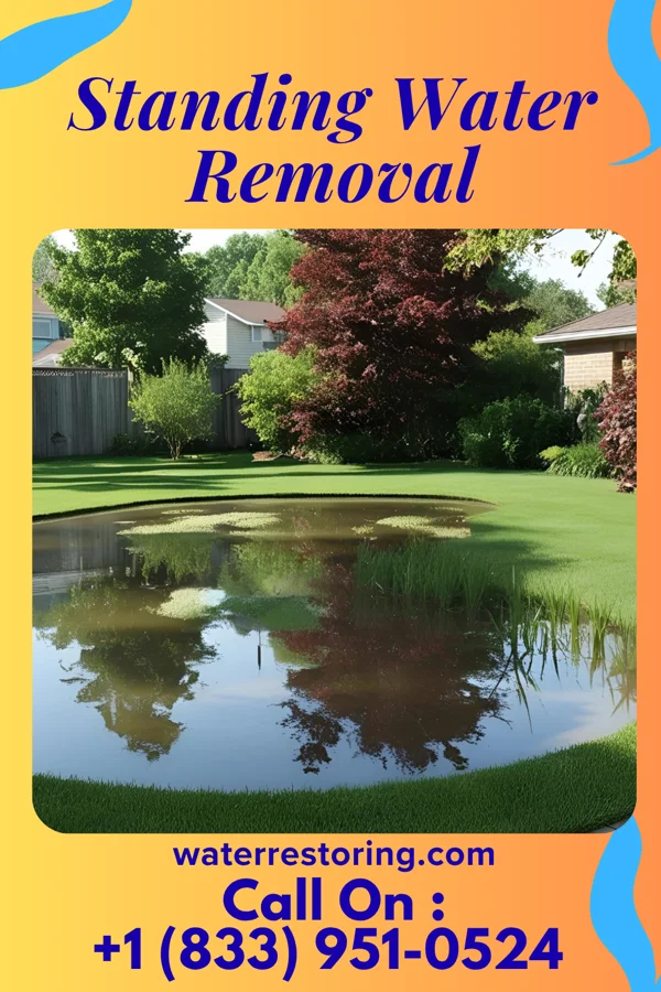 Standing Water Removal in Lewisburg, TN